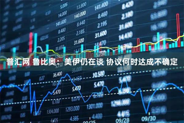 普汇网 鲁比奥：美伊仍在谈 协议何时达成不确定